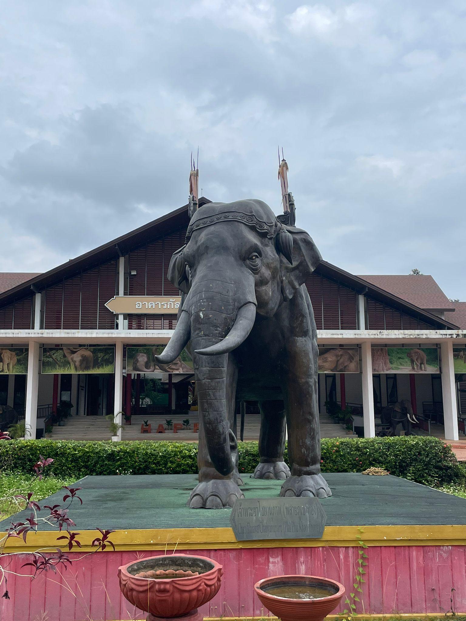 National Elephant Training Institute