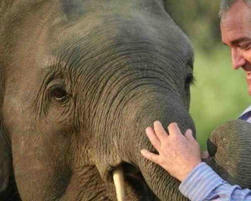 Andrew mclean elephant kush prasad 1280x640
